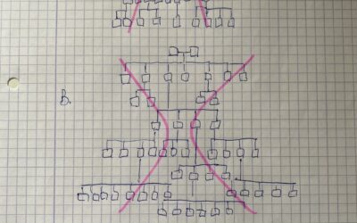 Organisational chart leads to a better food safety & quality culture